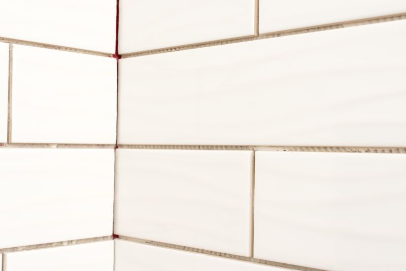 Shower Grout Replacement